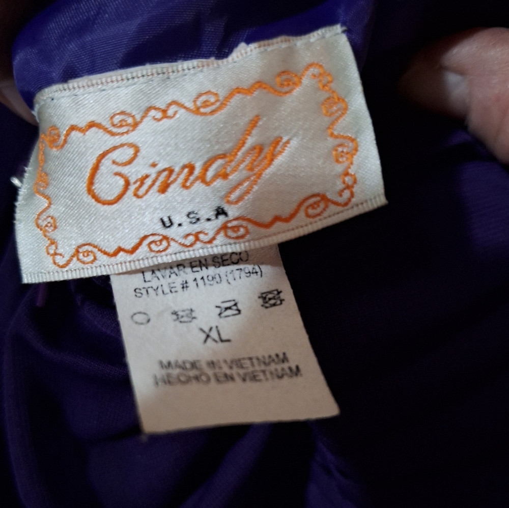 Cindy Evening Gown - image 3